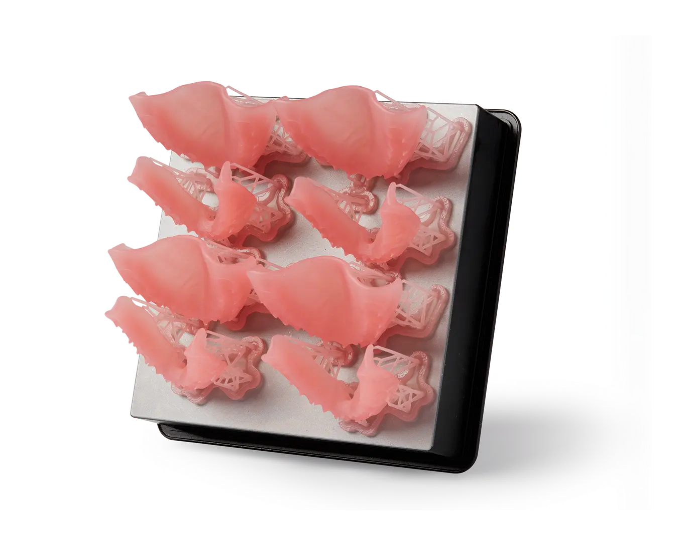 Denture Base Resin for Dental Labs
