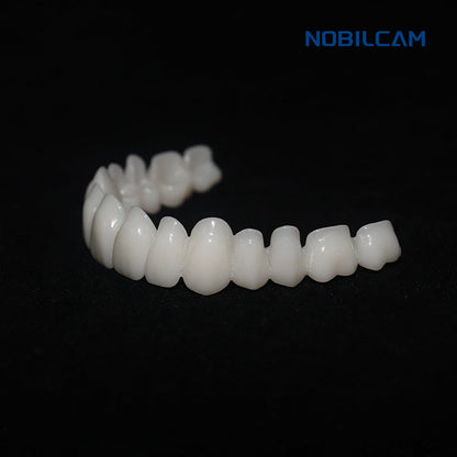 NOBILCAM Monolayer PMMA