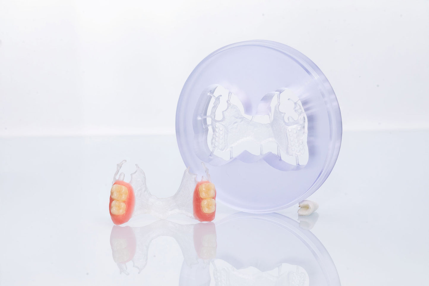 NOBILCAM Flexible Disc