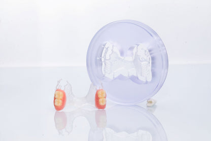 NOBILCAM Flexible Disc