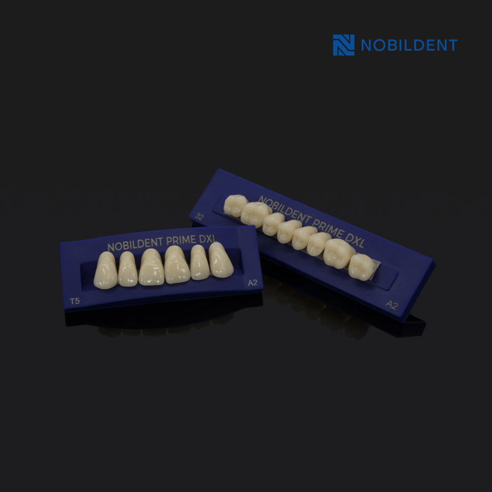 NOBILDENT Prime DXL Artificial Denture Teeth Posteriors 0°, 10° and 20°
