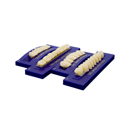 NOBILDENT Prime DXL Artificial Denture Teeth