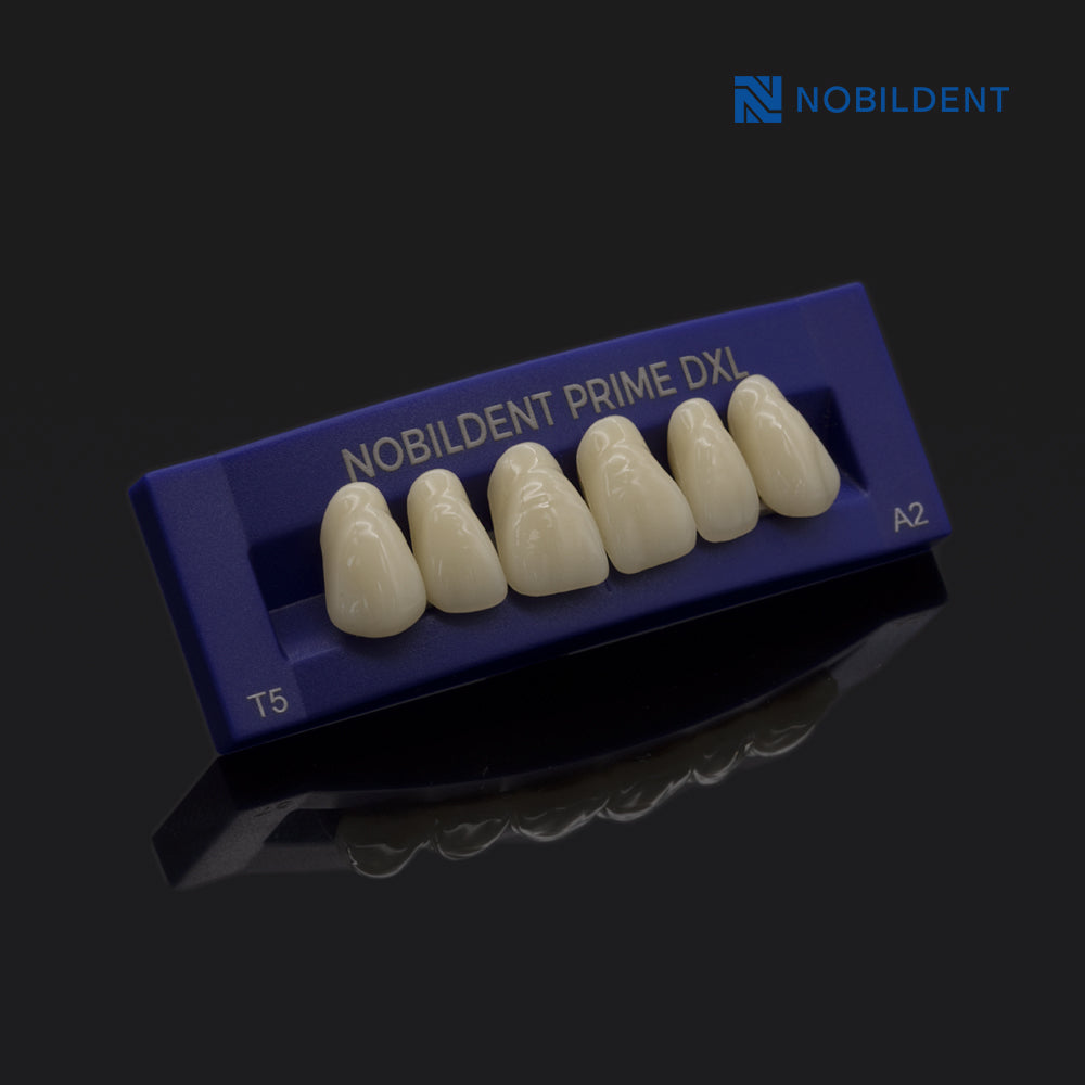 NOBILDENT Prime DXL Artificial Denture Teeth Posteriors 0°, 10° and 20°