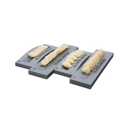 NOBILDENT Select XL Denture Teeth